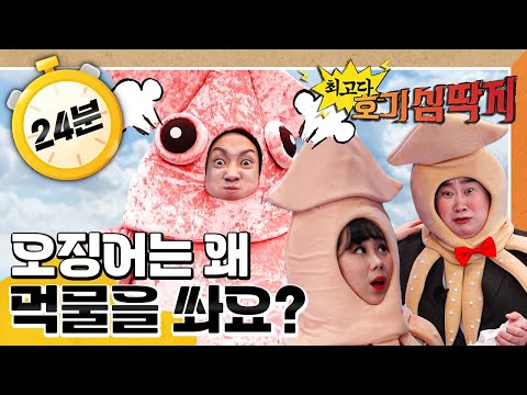 🦑오징어는 왜 먹물을 쏴요?｜🐈고양이는 왜 어둠 속에서 앞을 잘 봐요?｜💡최고다! 호기심 딱지💡｜[EBS놀이터]