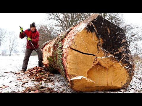 Amazing Transformation of a Gigantic Tree into Perfect Boards for Making Solid Wood Furniture.
