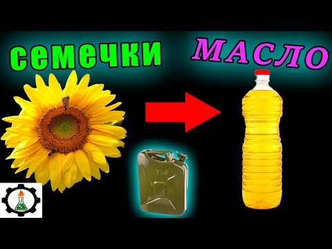 ☣️Как ХИМИКАТАМИ извлекают МАСЛО. (Экстрагирование масла растворителем) Рафинирование.