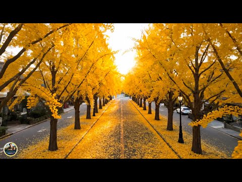 Самая красивая мелодия на свете – Осень! ФАНТАСТИЧЕСКИ КРАСИВЫЕ И ЛУЧШИЕ ТРЕКИ ДЛЯ ДУШИ! СЛУШАЙ
