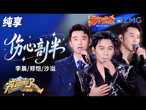 【纯享🔥】正是跳舞的年纪！李晨郑恺沙溢《伤心剖半》 三人的演绎把这首歌的随性展现得淋漓尽致 | 2025-2026浙江卫视跨年晚会