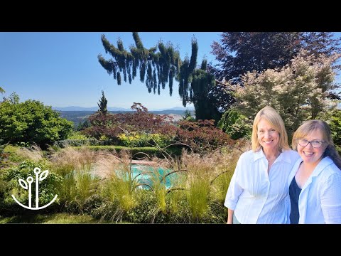 She Turned Her Whole Yard Into a Botanical Wonderland 🌿
