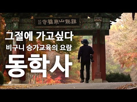 비구니 승가교육의 요람 _ 동학사 [그절에 가고싶다]