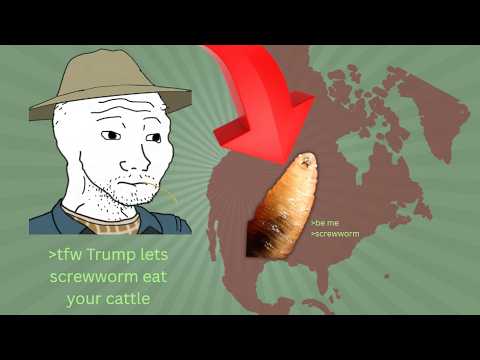 Screwworm Update: First USA Confirmed Case