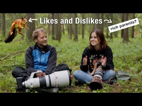 How to Make Money as a Wildlife Photographer - with @Dani Connor Wild