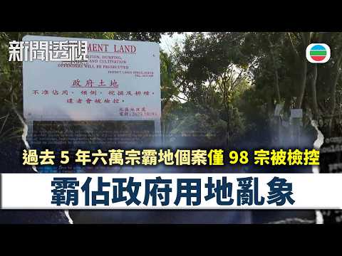 新聞透視｜官地被開墾　地政證實涉非法佔用及挖掘｜（繁／簡字幕）｜無綫新聞 ｜TVB News
