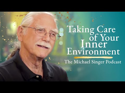 Taking Care of Your Inner Environment | The Michael Singer Podcast