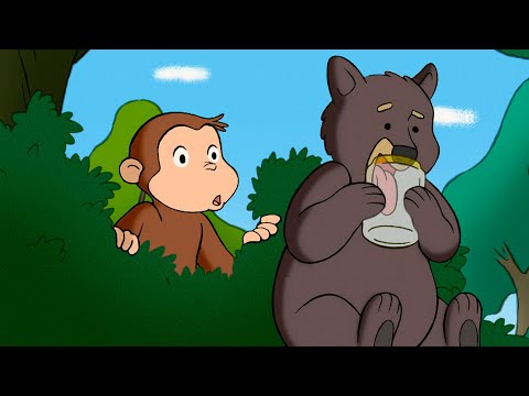 George Meets A Bear ๐ป๐ต Curious George ๐ต Animal Friends