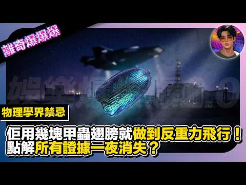 【離奇爆爆爆】物理學界禁忌｜佢用幾塊甲蟲翅膀就做到反重力飛行，點解所有證據一夜消失？｜娛樂爆爆爆2.0