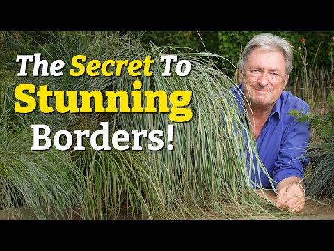 The Secret to Instant Garden Transformation: Top 5 Ornamental Grasses!