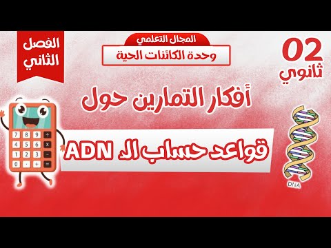 🔥 جميع افكار حساب ADN مع اقوى تدريب😎وافكار التمارين| مراجعة قوية للاختبار  | ثانية ثانوي