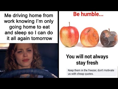 Funny Memes That Might Make You Laugh | HahaHub