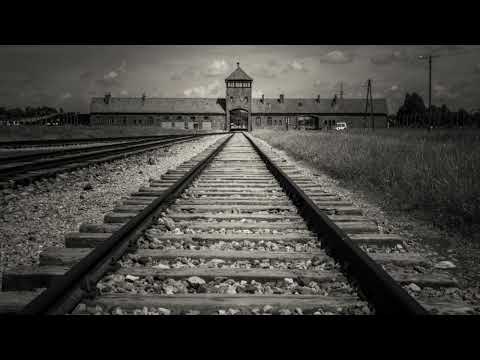 Auschwitz: The Mother of All Death Camps