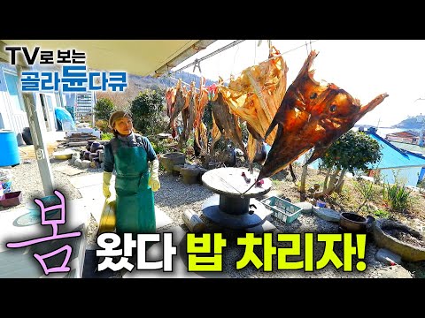 🌸한국기행 봄 모음✨｜추운 겨울 나고 드디어 찾아온 봄, 각자의 자리에서 봄을 만끽하는 사람들｜봄 제철 생선 잡아 바로 한 상 차린 밥상｜한국기행｜#골라듄다큐