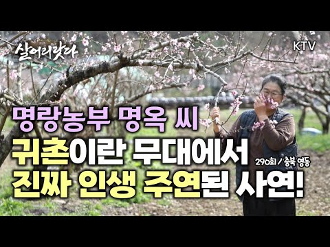 (충북 영동/290회) 도시 사람들~ 이 맛 모르고 살지 마오 koreatv, farmer, play, performing