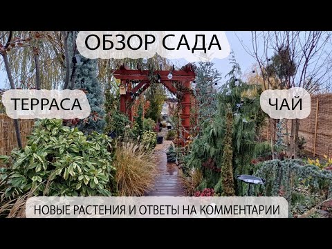 ОБЗОР САДА Покажем нашу террасу! БЕСЕДЫ ЗА ЧАЕМ И ОТВЕТЫ НА КОММЕНТАРИИ! Новые растения в саду