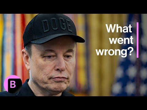 Why Is Elon Musk Fighting With President Trump?