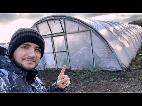 What income does one 200 sq m greenhouse generate?