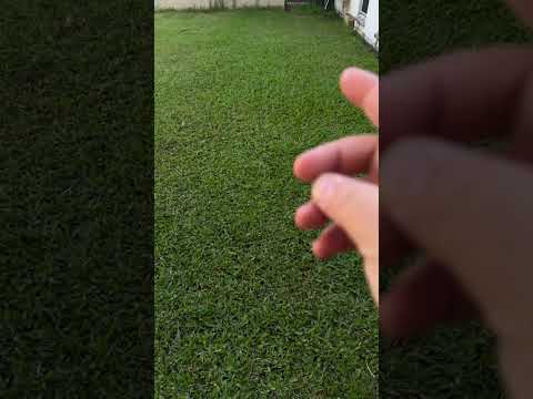 Robot lawn mower vs no mower!