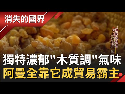 被視為神聖之物! 擁有"上帝之汗"稱謂的乳香 具有"木質調"的濃郁氣味 獨特的味道雖不是人見人愛 卻讓阿曼成為交易霸主│李文儀 主持│【消失的國界 完整版】20230128│三立新聞台