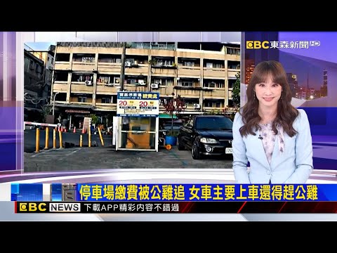 停車場繳費被公雞追 女車主要上車還得趕公雞2025／10／28  【吳宇舒晚報】 @newsebc