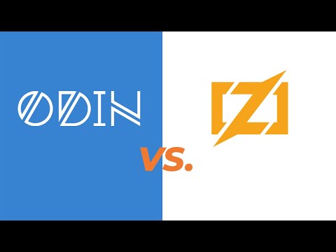 Differences between Odin and Zig