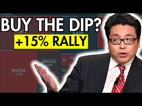 8 Stocks to BUY THE DIP — Tom Lee Says S&P 500 Has 15% Upside!