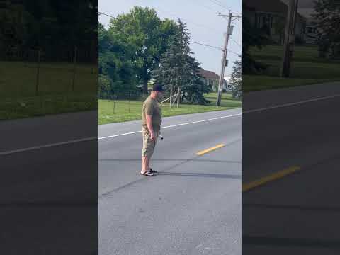 Crossing Guard On Duty! Crossing Guard On Duty! #snappingturtle  #turtlecrossing #turtlerescue
