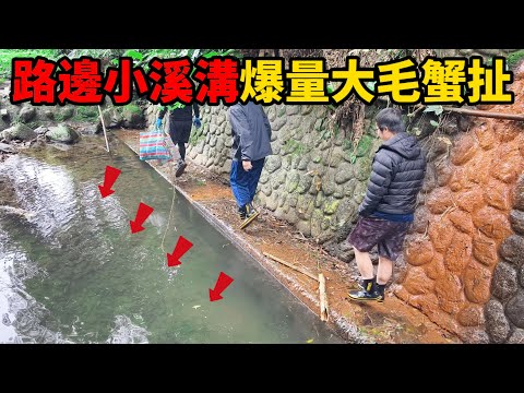 《抓毛蟹全教學》教你如何從0到吃上一口升天蟹膏的美味 世界悲慘的事 大量毛蟹就在路邊而你卻不知道 早餐直上"螃蟹薑母鴨" 全餐 片尾抽毛蟹禮包#料理 #抓海鮮