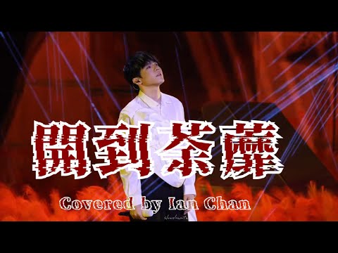 《開到荼蘼》【with outro】Covered By Ian Chan @ TEARS 澳門場 Day 2