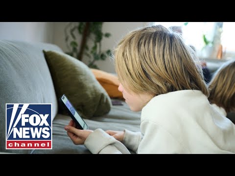‘Parents are struggling!’: Author SOUNDS ALARM over kids’ smartphone use