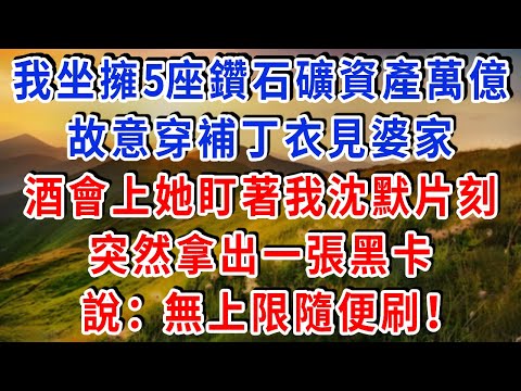 我坐擁5座鑽石礦資產萬億，故意穿補丁衣見婆家，酒會上她盯著我沈默片刻，突然拿出一張黑卡，說：“無上限，隨便刷！”#雅婷講故事#為人處世#生活經驗#情感故事#晚年哲理#說故事#完結文#出軌