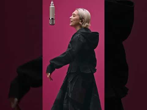 Miso Extra - POP | A COLORS MOMENT