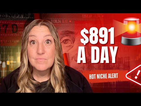 This Amazon KDP Niche  Makes $891 a DAY