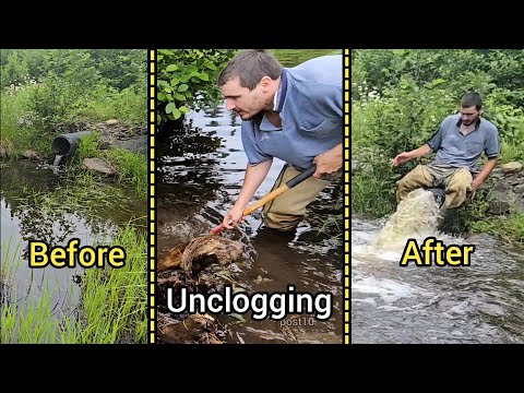 Unclogging A Really Fun Culvert