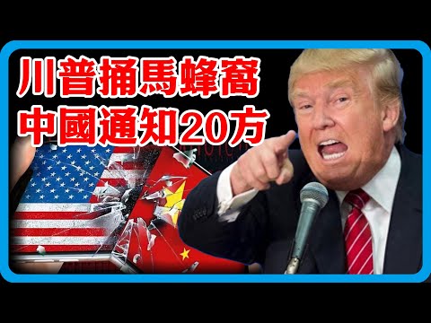 川普捅馬蜂窩！中國通知20方勢力，南非拒交權，聯合宣言反轉！#竇文濤 #圓桌派 #中美關係 #特朗普 #紀實 #經濟 #歷史 #聊天 #推薦 #熱門