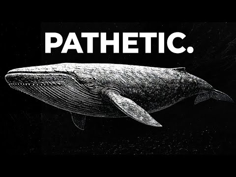 The Only Time In History That Blue Whales Weren’t The Biggest