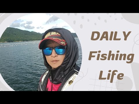 119.한번 가보면 문득문득 생각 나는 섬 청산도 #바다낚시 #여행 #방파제낚시