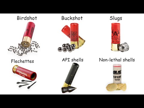 Every Type Of Shotgun Shell Explained