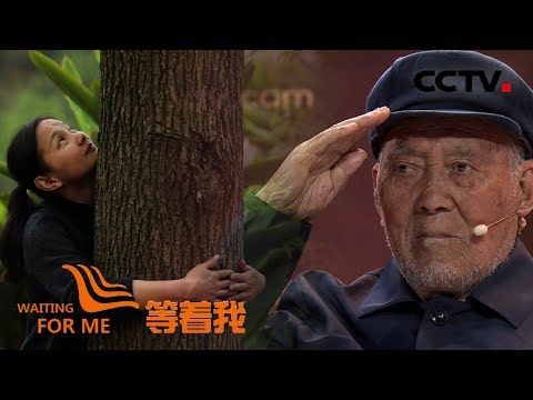 《等着我 第五季》 一棵姐弟同种香樟树 二十圈年轮承载思念情;九旬老兵寻找六十四年前以身救命恩人 20190503 | CCTV