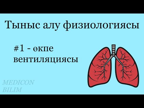 Тыныс алу физиологиясы. Өкпе вентиляциясы | Физиология дыхания | Физиология курсқа тіркелу👇