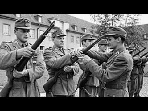 German Engineers Tested a Captured M1 Garand — Couldn't Understand Its 8-Round Speed