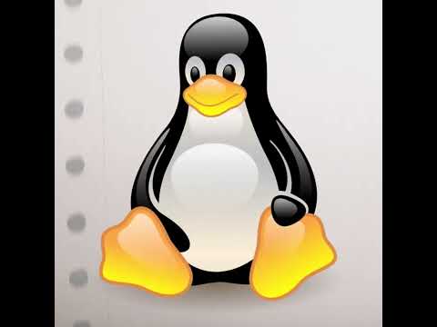 "Distro" - Veronica Explains "Word of the Week" #shorts