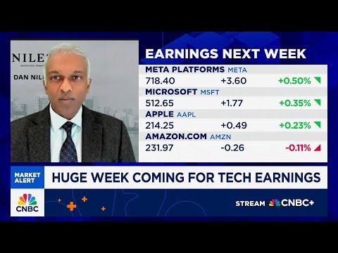 Niles Investment Management founder Dan Niles on what to expect for tech earnings