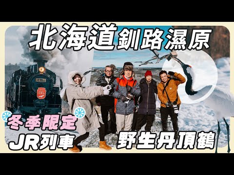 北海道自駕道東玩什麼？來看雪季釧路限定的SL冬季濕原號、超近距離看野生丹頂鶴【2024北海道家族旅遊EP1】