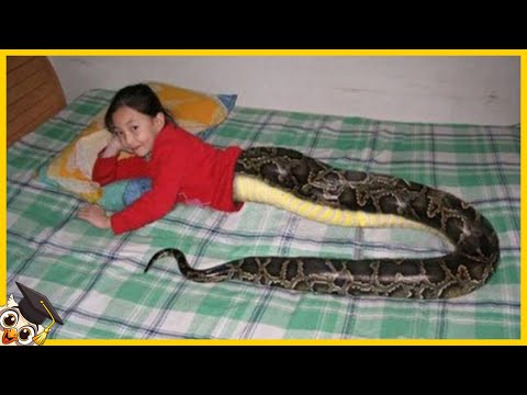 10 People Who Are Only Born Once Every Thousand Years