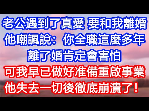 【情感故事】老公遇到了真愛，要和我離婚。他嘲諷說：你全職這麼多年，離了婚肯定會害怕。可我早已做好准備重啟事業，他失去一切後徹底崩潰了！#故事 #人生哲理 #婚姻 #出軌 #爽文