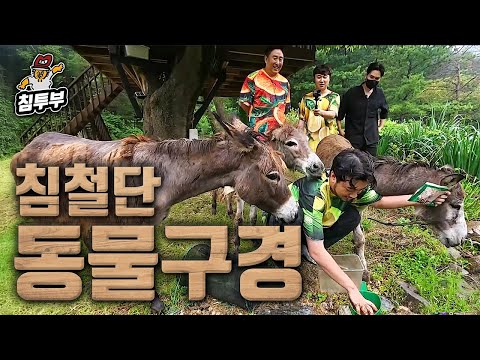 침철단과 김줄스 님 목장 구경하기