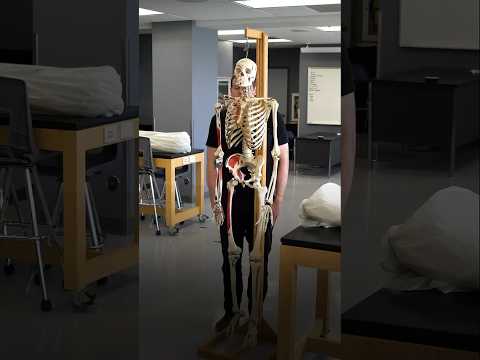 What REALLY Happens When You Donate Your Body to Science