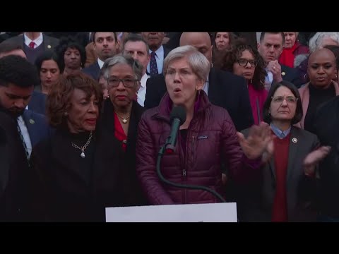 Democratic politicians join protest against Elon Musk's access to Treasury information